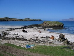 Isle of Muck beach