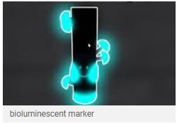 bioluminescent marker