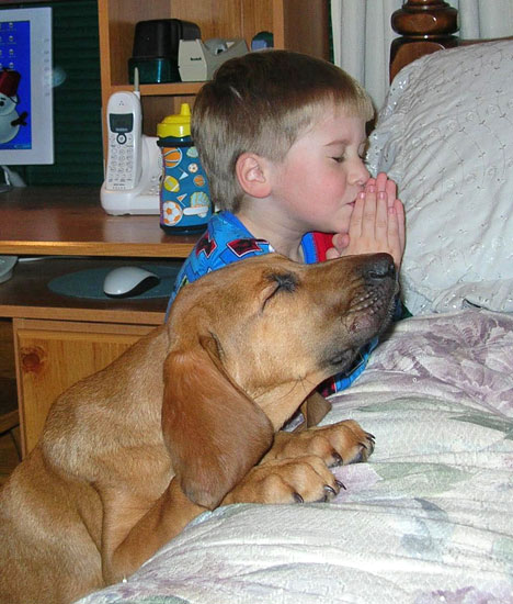 Little Boy and dog in prayer